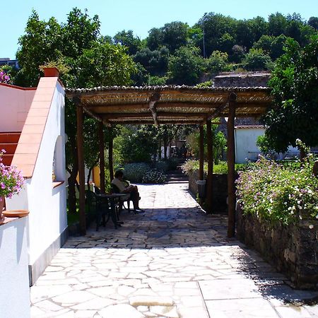Hotel La Marticana อีสเกีย ภายนอก รูปภาพ