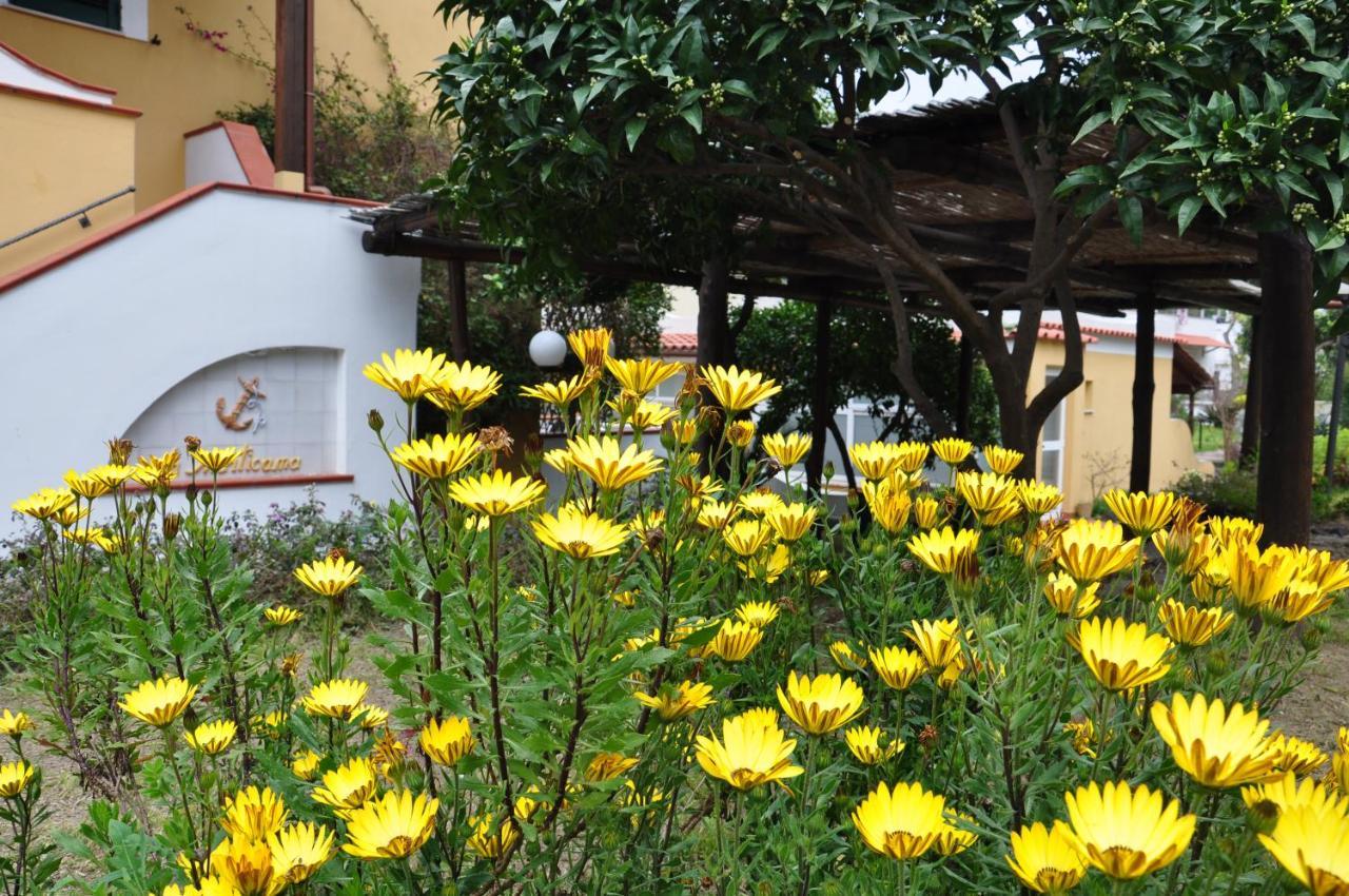 Hotel La Marticana อีสเกีย ภายนอก รูปภาพ