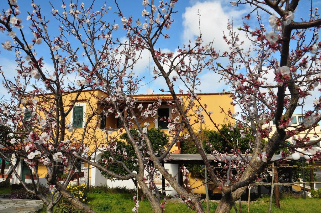 Hotel La Marticana อีสเกีย ภายนอก รูปภาพ