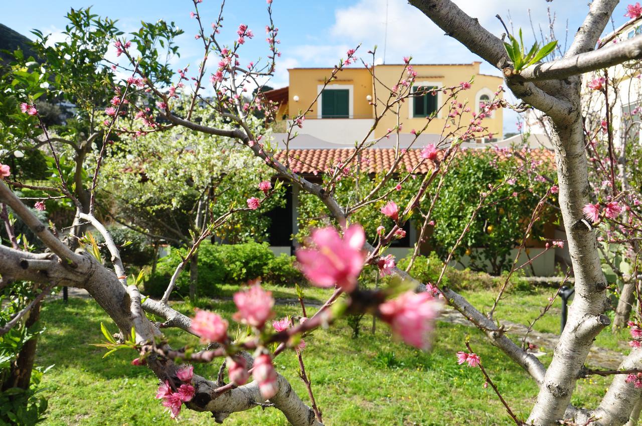 Hotel La Marticana อีสเกีย ภายนอก รูปภาพ